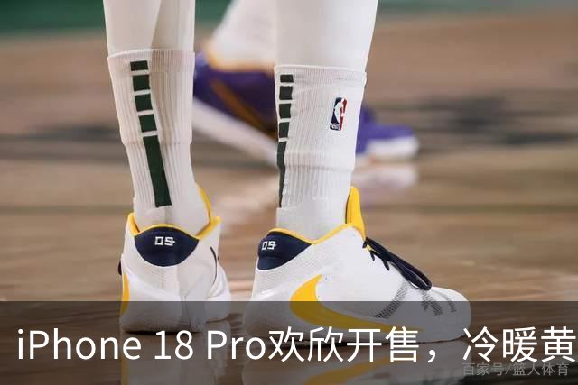 iPhone 18 Pro欢欣开售，冷暖黄牛戏剧四起！